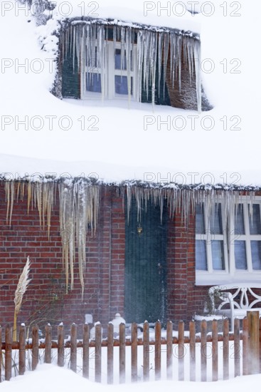 Icicles on a decrative old thatched house covered with snow in a snowstorm in winter, Schleswig-Holstein, Germany