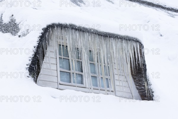 Icicles on a thatched roof covered with snow in front of a window in winter, Schleswig-Holstein, Germany