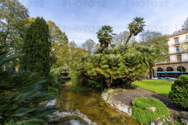 Gipuzkoa square park showcasing lush palm trees and green foliage surrounding a winding pond, with traditional city buildings and a public bus visible in the background under a blue sky