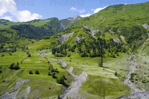 Idyllic hilly landscape with forest and meadows, nestled in a mountainous region in summer, landscape between Kvesheti and Gudauri, Mtskheta-Mtianeti region, Georgian Military Highway, High Caucasus, Georgia