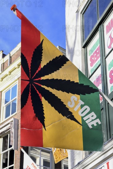 Flag with marijuana leaf at a cannabis shop in the pedestrian zone of The Hague, South Holland province, the Netherlands