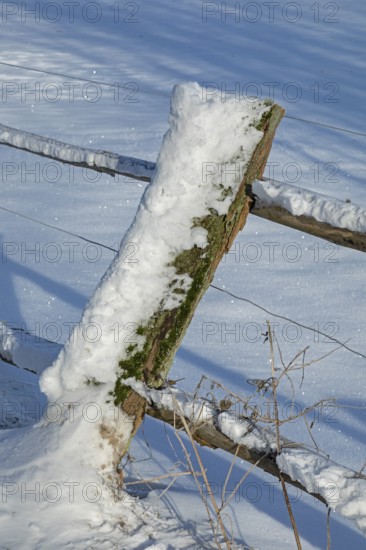 Snowy fence post, winter, snow, Sieversen, Samtgemeinde Rosengarten, Lower Saxony, Germany