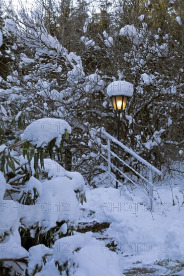 Snowy garden, lamp, stairs, winter, snow, Sieversen, Samtgemeinde Rosengarten, Lower Saxony, Germany