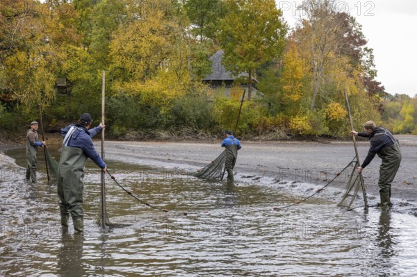Fishing at Teichwirtschaft Ahlhorner Fischteiche, Ahlhorn, Lower Saxony, Germany