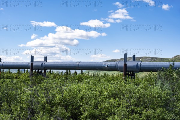 Alaska Pipeline Oil Pipeline, Alaska Range, Richardson Highway, Alaska, USA