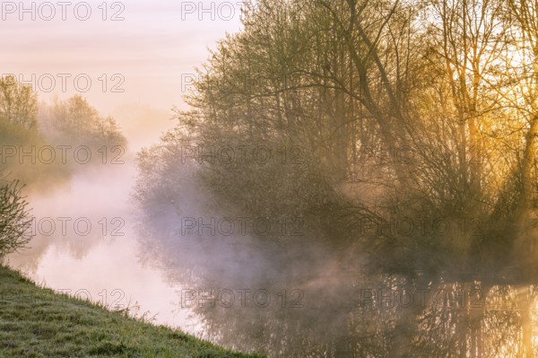 River Lohne at sunrise with fog, Dümmer, Lembruch, Lower Saxony, Germany
