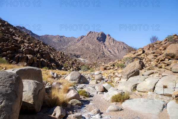 Hiking to White Lady, Dry Mountain Landscape, Tsisab Gorge, Brandberg, Erongo, Namibia