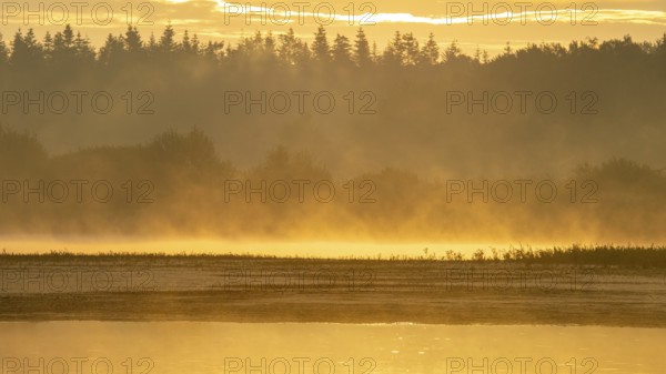 Sunrise with fog on a lake at the Ahlhoner fish ponds, Ahlhorn, Lower Saxony, Germany