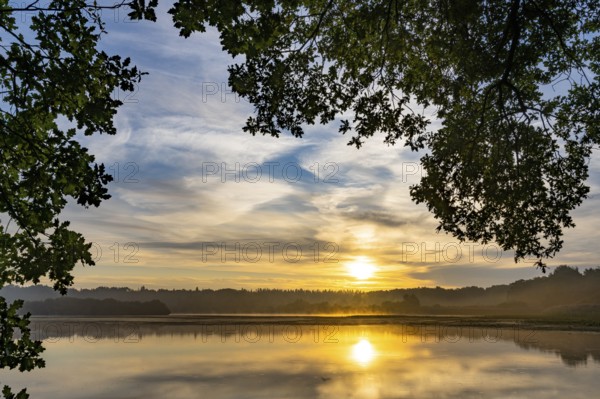 Ahlhonrer fishing pond with fog at daybreak, fog, sunrise, Ahlhorn, Lower Saxony, Germany
