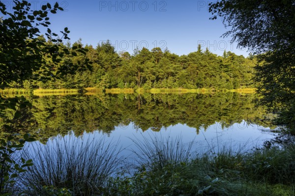 Diana See in the Ahlhorner Fischteiche Nature Reserve, Wildeshausener Geest, Ahlhorn, Lower Saxony, Germany