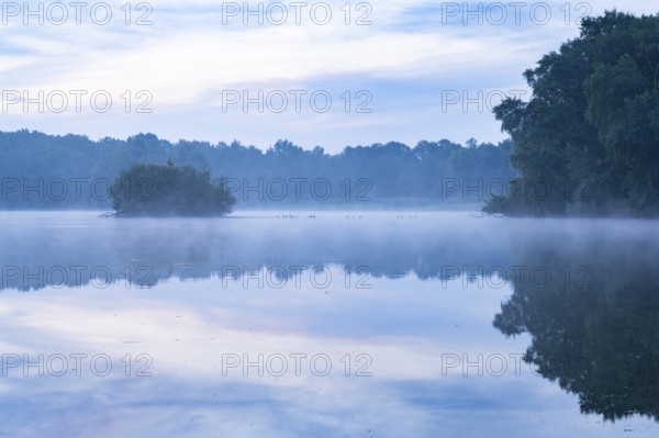 Daybreak with fog at blue hour in the Ahlhorner Fischteiche nature reserve of the Lower Saxony State Forests, Ahlhorn, Lower Saxony, Germany