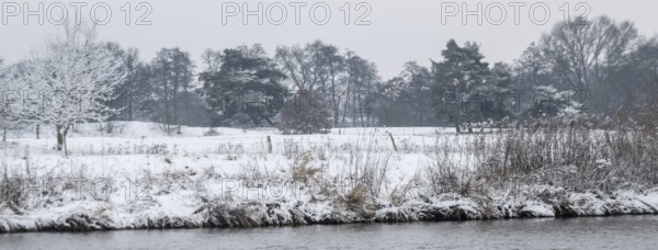 Winter landscape on the Ems, Emsland, Lower Saxony, Germany