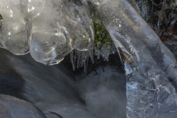 Branches are covered with ice near the river. The water flows gently and forms ice formations on the land and between the rocks. Upper Rhine, Vosges, Alsace, France