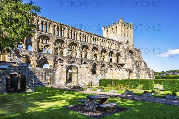 Jedburgh Abbey, Augustinian Abbey, Jedburgh, Scottish Borders, Scotland, UK