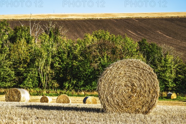 Straw bales in the Scottish fields, Southeast Scotland, UK