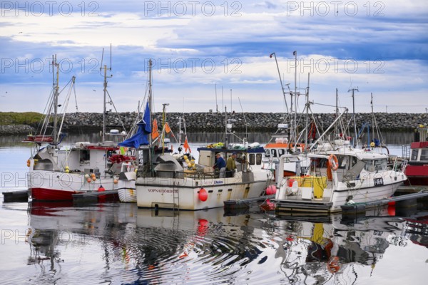 Fishing boats Fishing vessels are moored in Berlevag harbour in the north of the Varanger Peninsula with colorful buildings in the background, Berlevåg, Finnmark, Norway