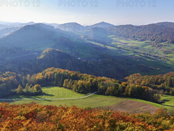 View of an autumnal forest from the Gisliflue, behind the Jurassic foothills with the Wasserfluh, Talheim, Canton, Aargau, Switzerland