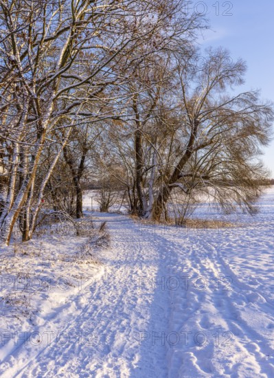 Winter landscape, fields and fields in Berlin Lübars, a village in Berlin Reinickendorf, Germany