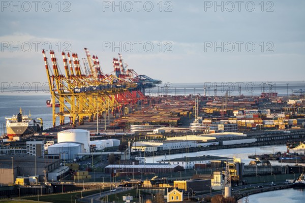 MSC and Eurogate container terminal in the seaport of Bremerhaven, Eurogate container terminal with almost 50 container bridges, cranes, over a length of over 4 km at the mouth of the Weser, Bremerhaven, Bremen, Germany