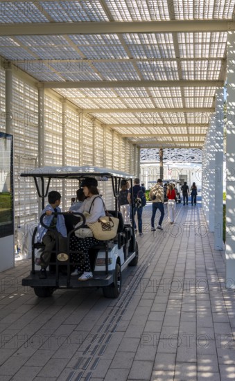 Louvre Abu Dhabi architecture, art museum by French architect Jean Nouvel, buildings on Saadiyat Island, Abu Dhabi, United Arab Emirates