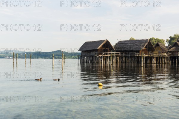 Stilt houses, Unteruhldingen stilt building museum, UNESCO cultural heritage, Uhldingen-Mühlhofen, Lake Constance, Baden-Württemberg, Germany