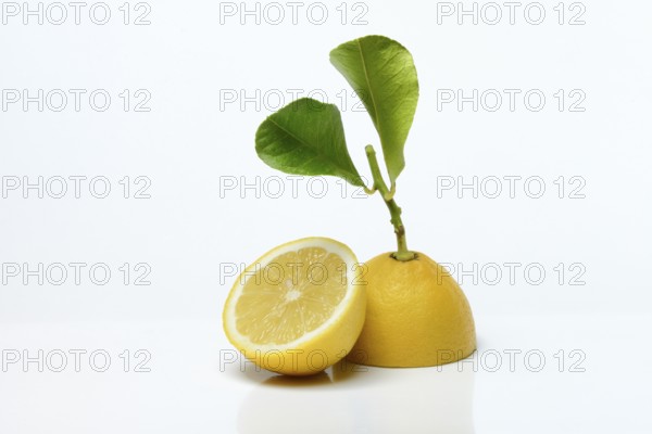 Lemon with leaf, cut in half, Citrus x limon