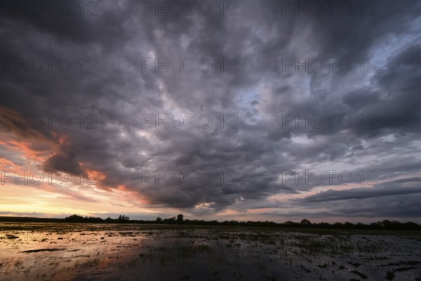 Dramatic sunset over flooded wetlands with wind turbines in the background and bright shades of orange in the sky, Dümmer nature park Park, Lower Saxony, Germany