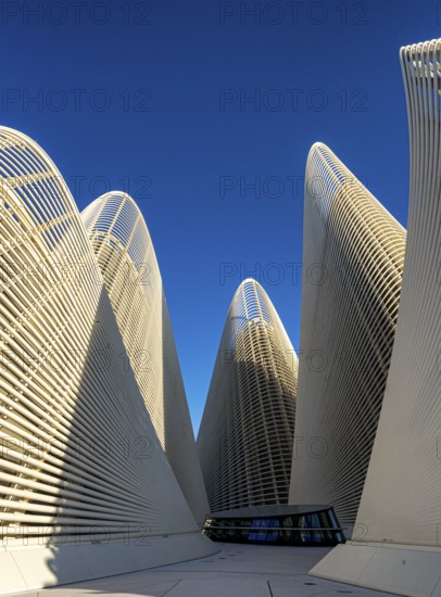 Zayed National Museum in Abu Dhabi, memorial to the late Zayed bin Sultan Al Nahyan, the museum is the heart of the cultural district on Saadiyat Island, architecture on the roof of the museum, Abu Dhabi, United Arab Emirates
