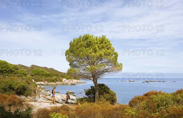 Desert des Agriates or Agriates desert on the Gulf of Saint-Florent in the Mediterranean, Haute-Corse, Corsica