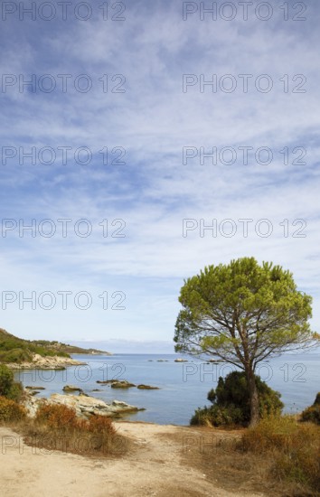 Desert des Agriates or Agriates desert on the Gulf of Saint-Florent in the Mediterranean, Haute-Corse, Corsica