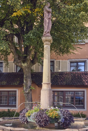 Crown fountain, sweet potato (Ipomoea batatas), fountain, tree, facade with windows, sunny, Meiergasse, main alleyway, Staufen im Breisgau, Black Forest, district of Breisgau-Hochschwarzwald, Baden-Württemberg, Germany