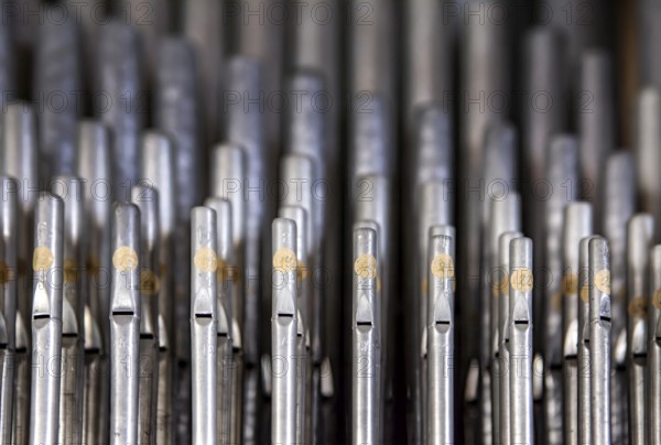 Organ pipes, Saint Giles or market church St. Aegidien, Osterode, Upper Harz region, Lower Saxony, Germany
