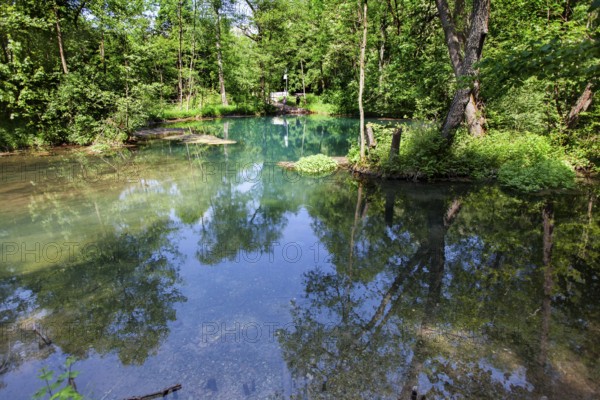 The Rhume Spring with blue-green colouration, source of River Rhume, large karst spring, Harz mountains region, Rotenberg ridge, near Rhumspringe, Germany