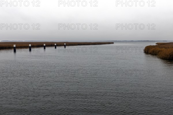 Lagoon area at the Meinigenbrücke near Zingst, Fischland-Darß-Zingst, Western Pomerania Lagoon Area National Park, Mecklenburg-Western Pomerania, Germany