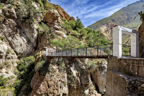 Suspension bridge between rocks under a blue sky, The landscape of the Colca Canyon in the Andes of Peru