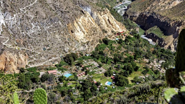 Small village surrounded by a green oasis in a rocky gorge landscape, the landscape of the Colca Canyon in the Aden of Peru