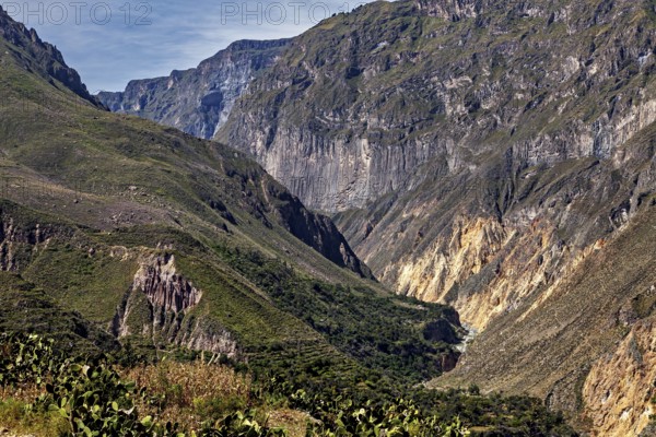Deep gorge with dramatic cliffs and sparse vegetation, The landscape of Colca Canyon in the Aden of Peru