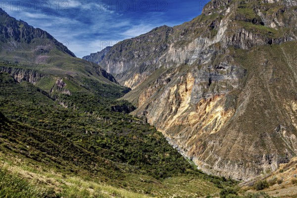 Fascinating gorge landscape with lush vegetation and mountains, The landscape of Colca Canyon in the Aden of Peru