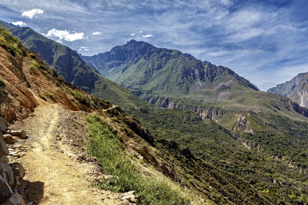 Hiking trail along a mountain under sunny sky, The landscape of Colca Canyon in the Aden of Peru