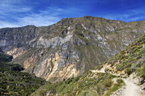 Path along a rocky mountain face under blue sky, the landscape of Colca Canyon in the Aden of Peru