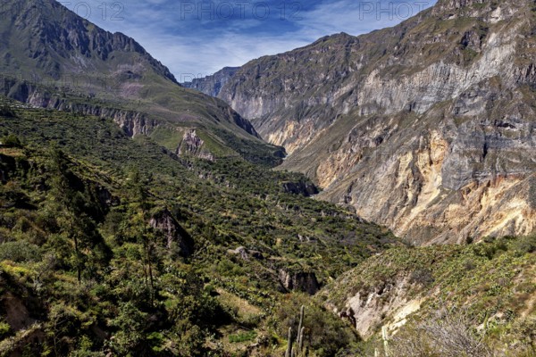 Sublime rock walls and green valleys under a clear blue sky, the landscape of the Colca Canyon in the Aden of Peru