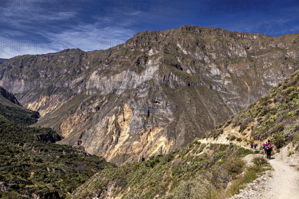 People hiking on a trail along a mountain edge, the landscape of Colca Canyon in the Aden of Peru