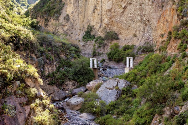 Small bridge over a rocky gorge surrounded by lush vegetation, The landscape of Colca Canyon in the Aden of Peru
