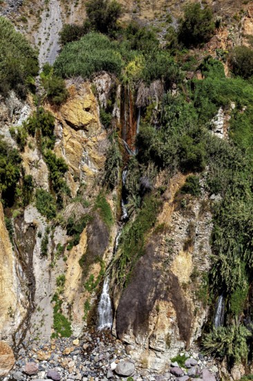 Waterfall flowing among green shrubs and rocks, The landscape of the Colca Canyon in the Andes of Peru