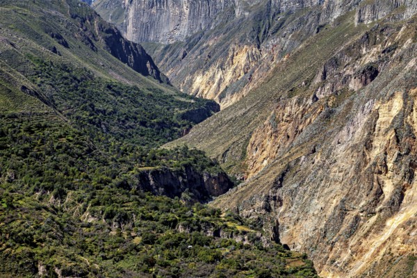 Deep gorge surrounded by lush vegetation and steep rock faces, the landscape of Colca Canyon in the Aden of Peru