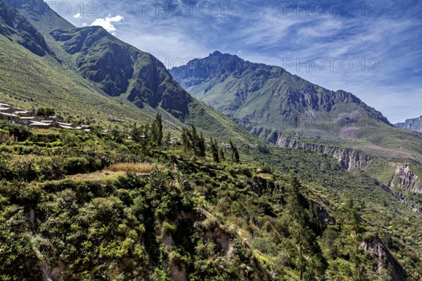 Green mountains and blue sky with scattered meadows and trees, the landscape of the Colca Canyon in the Aden of Peru