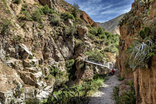 Trail leads along rocks to a suspension bridge, the landscape of the Colca Canyon in the Andes of Peru