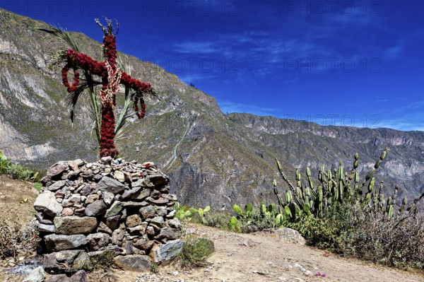 A cross of flowers and branches stands on a pile of rocks in a dry desert landscape with cacti, cross in the landscape of the Colca Canyon of Peru
