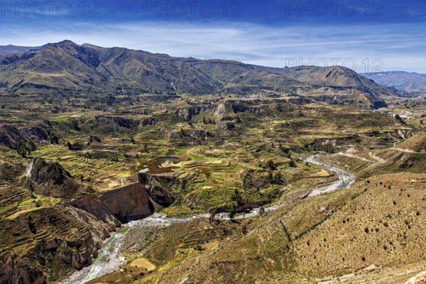 Serpentines along valleys with terraced areas and river, The landscape of the Colca Canyon in the Aden of Peru