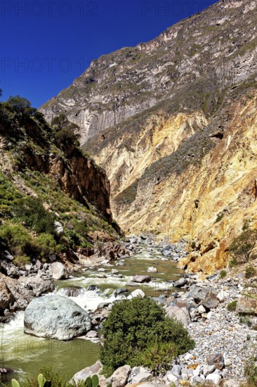 Picturesque river landscape between steep rock faces under clear sky, The landscape of the Colca Canyon in the Aden of Peru